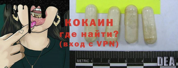 твердый Алексин