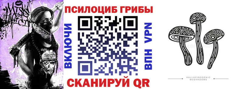 Галлюциногенные грибы Psilocybine cubensis  Советская Гавань 